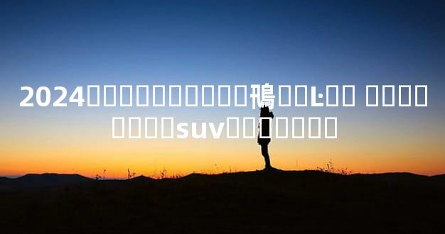 2024����������鳵��Ŀ�� ��������suv�⳵�۶���